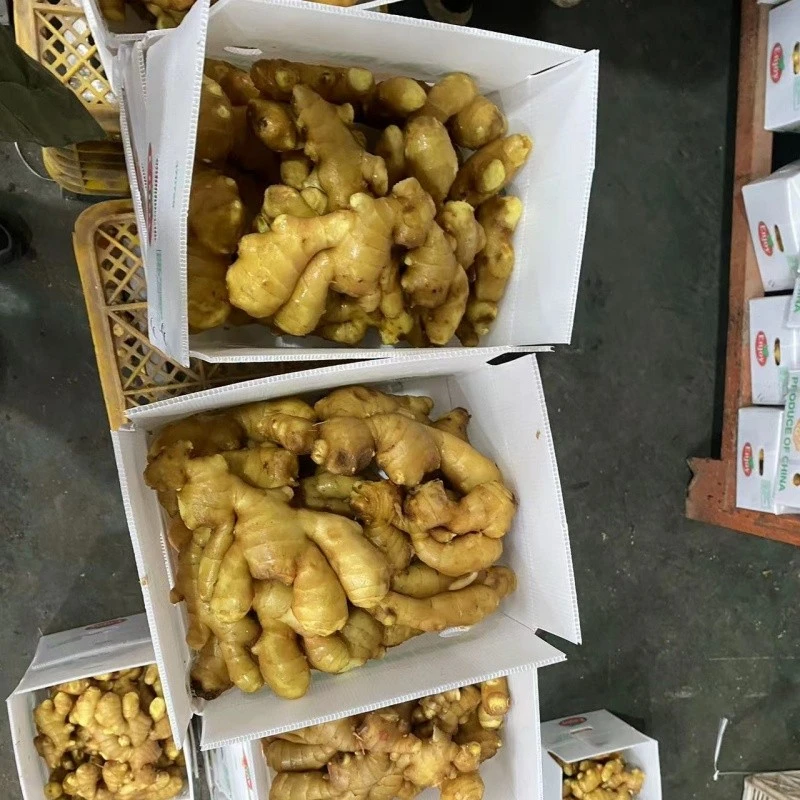 200g Dry Ginger high quality