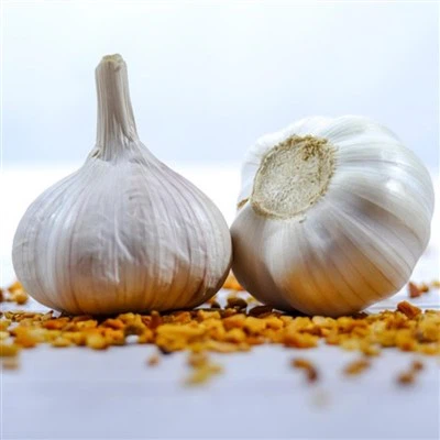 Bolsa de malla de 0,5 lb de ajo blanco