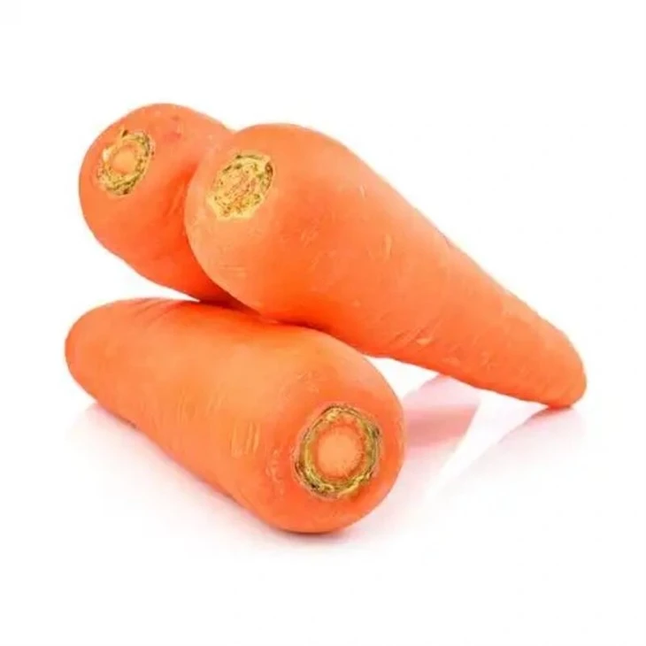 Size S 4kgs/ctn Fresh Carrot