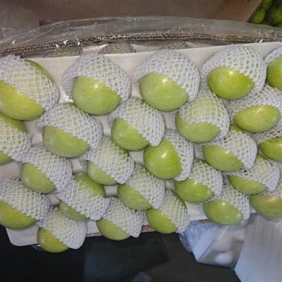 100 Fresh Apples Green