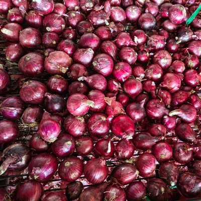 cebolla morada fresca