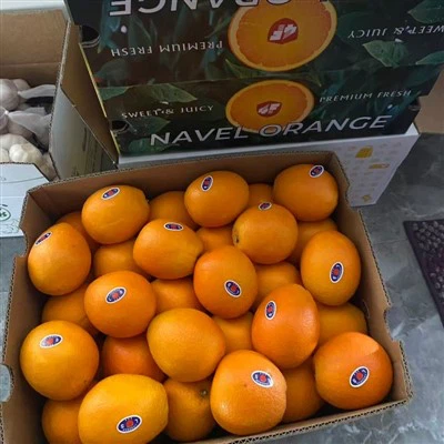 Talla 80 Fresh Newhall Navel Naranja